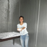 LINH LE