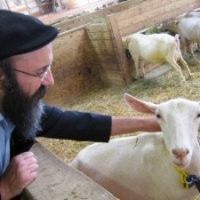 Shmuel Klatzkin