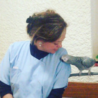 Adriana Abadie