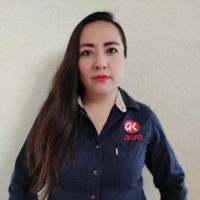Noemi Roldan All Kopier San Luis Potosí
