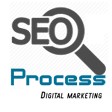 SEO Process India