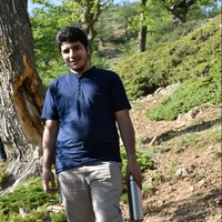 جواد محمدی