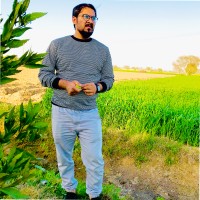 Sheroon Anwar