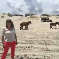 Linda Hess