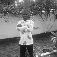 bismark anim