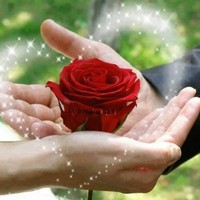 Huda AL hashimi   ·