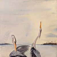 Liz Hart