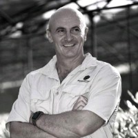Mark Hassenkamp