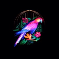 Birds Color Brands