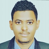 Yassir baha eldin