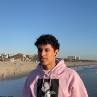 Levi Palomares