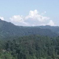 陶德春