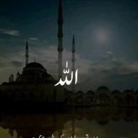 Adiba Haleem