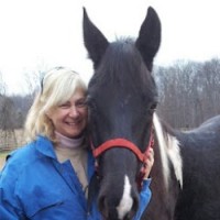 Dawn Strasser