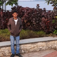 Ranjit Kumar Ray