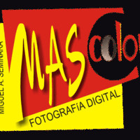 Mascolor Seminara