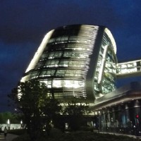 陈马克