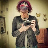 Traci Shelton