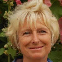 Inge Schjellerup