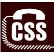 Css Director