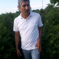 Deepak Sirohi