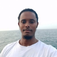 Tewodros Berihu