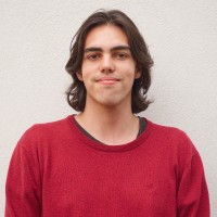Carlos Coelho