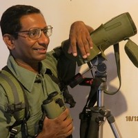 Saman Abeysinghe - Travel Agent