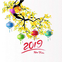 VPC_BVĐK Tỉnh