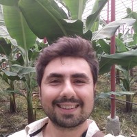 Osman Ozan Candan