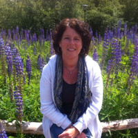 Jeanette Van Herwaarden