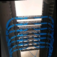 Alexsandro Ferreira de Lima