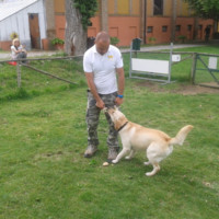 ugo bertone