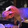 T Rex