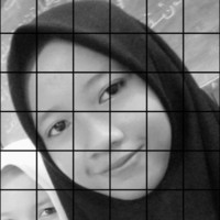 Anik A