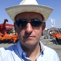 Elvio Arrigucci