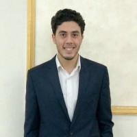 Mahmoud G. Sallam