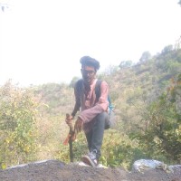 Akshat Pachauri