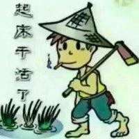杨世双