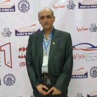 mohammad Reza Alizadeh