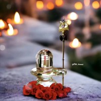 Anshu Vashishtha
