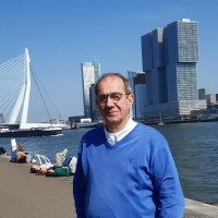 Harry Van Den Berg