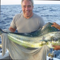 Ken Ligreci