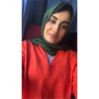 Hamsa Bayoumy
