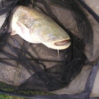 TERRENCE WILLIAM DEAN