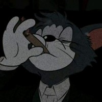 Tom Cat