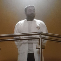Raj Panesar