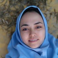 Farrukh Hussaini