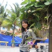Anh Dam Chau My