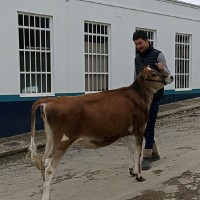 Daniel Jose Pulido Romero